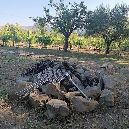 Vigneto Segreto Muro Lucano