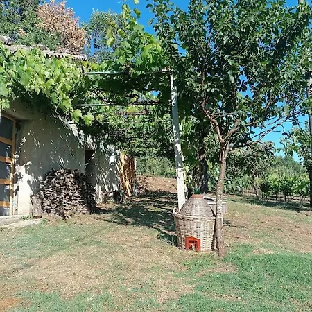 Vigneto Segreto * Muro Lucano