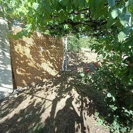 Campsite Vigneto Segreto Muro Lucano