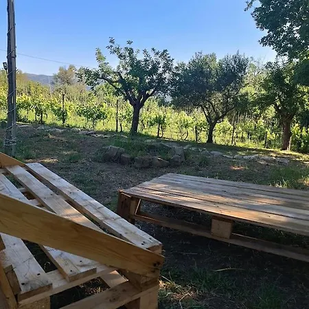 Vigneto Segreto Campsite Muro Lucano