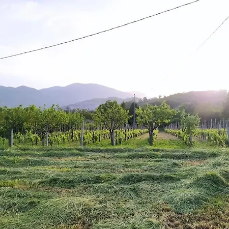 Vigneto Segreto Campsite *