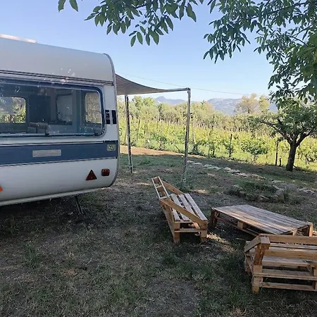 Vigneto Segreto