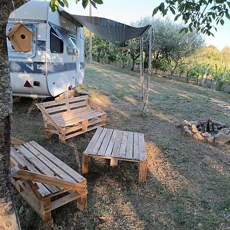Vigneto Segreto *