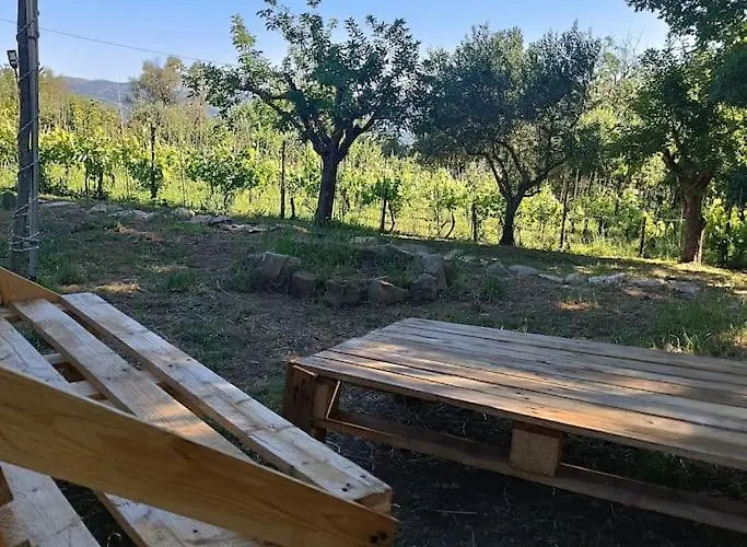 Vigneto Segreto Kamp alanı Muro Lucano