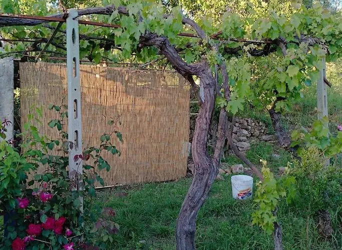 Vigneto Segreto Camping *